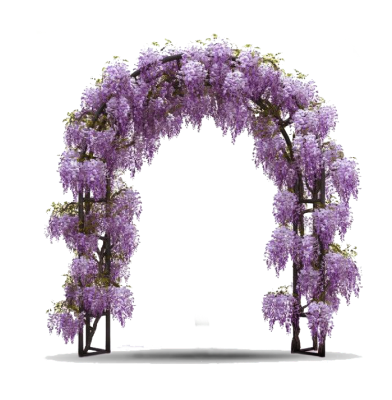 Лианы